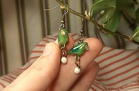 Image 3 of Kakapo family earrings