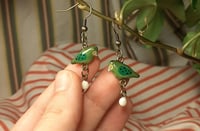 Image 4 of Kakapo family earrings