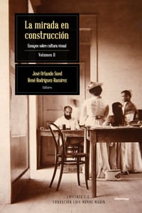 La mirada en construcción: ensayos sobre cultura visual, Vol. II