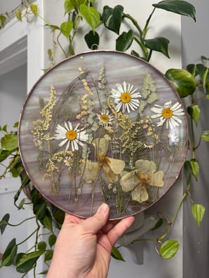Wildflower field with goldenrod