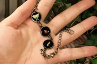 Image 4 of Luna moth life cycle bracelet