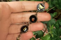 Image 5 of Luna moth life cycle bracelet