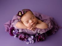 Image 1 of Liliana cashmere feel beanbag backdrop