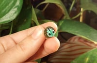 Image 8 of Ladybug pins