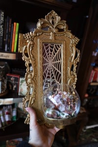 Image 2 of Its always ‘ACAB’ until you get your shit rocked