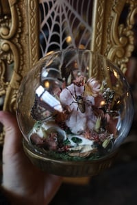 Image 3 of Its always ‘ACAB’ until you get your shit rocked