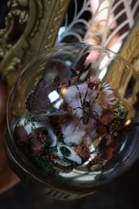 Image 5 of Its always ‘ACAB’ until you get your shit rocked