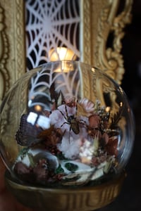 Image 6 of Its always ‘ACAB’ until you get your shit rocked