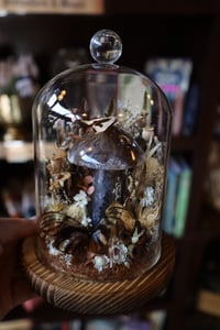 Image 2 of My mom took Tylenol when she was pregnant and that’s why I spent 6 hours on a puzzle yesterday