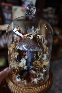 Image 4 of My mom took Tylenol when she was pregnant and that’s why I spent 6 hours on a puzzle yesterday