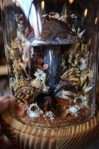 Image 5 of My mom took Tylenol when she was pregnant and that’s why I spent 6 hours on a puzzle yesterday