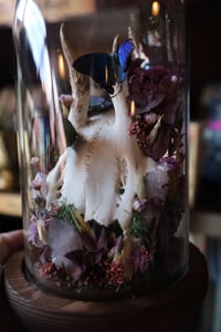 Image 5 of My tap to pay wouldn’t work in the Whole Foods checkout and now I can never return