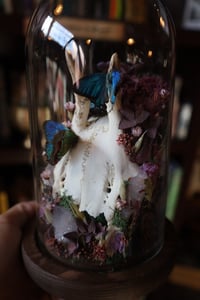 Image 4 of My tap to pay wouldn’t work in the Whole Foods checkout and now I can never return