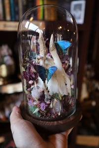 Image 2 of My tap to pay wouldn’t work in the Whole Foods checkout and now I can never return