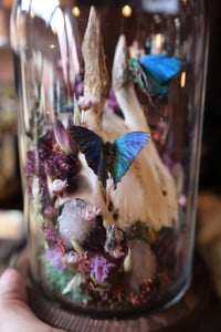 Image 6 of My tap to pay wouldn’t work in the Whole Foods checkout and now I can never return