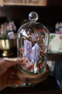 Image 1 of This one pays for half of the parking tickets I’ve accumulated downtown