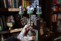Image 1 of What is this? A candelabra for ants?