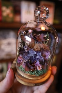 Image 4 of Robert, I don’t like that rock, it’s pissing me off