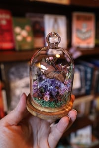 Image 1 of Robert, I don’t like that rock, it’s pissing me off