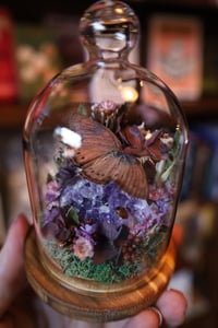 Image 2 of Robert, I don’t like that rock, it’s pissing me off