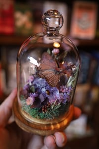 Image 5 of Robert, I don’t like that rock, it’s pissing me off