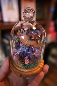 Image 3 of Robert, I don’t like that rock, it’s pissing me off