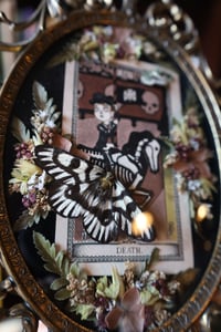 Image 3 of George Orwell was right