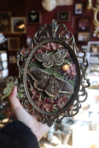 Pedro pascal has a boyfriend