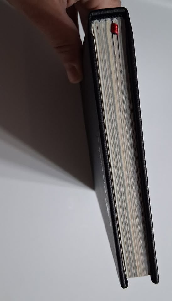 Pirate Borg collector's edition by Limithron