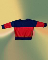 Image 1 of Hanna Andersson Color Block Crewneck Sweatshirt- 6-12m