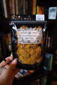 Image 1 of Tiger’s Eye - Reindeer Moss