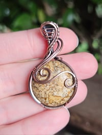 Image 3 of Picture Jasper "Wanderlust"