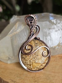 Image 1 of Picture Jasper "Wanderlust"
