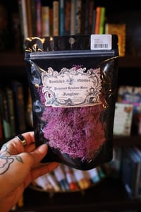 Image 1 of Foxglove - Reindeer Moss