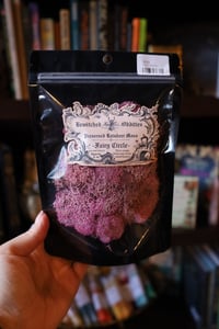 Image 1 of Fairy Circle - Reindeer Moss