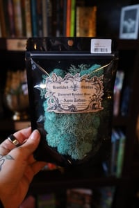 Image 1 of Aqua Tofana - Reindeer Moss