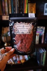 Image 1 of Carnivorous - Reindeer Moss