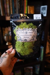 Image 1 of Alchemy - Reindeer Moss