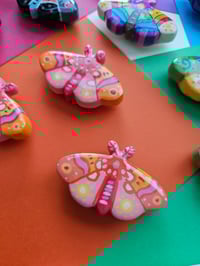 Image 5 of Moth Magnets