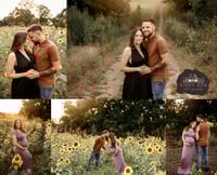 Image 3 of Sunflower Mini Sessions 