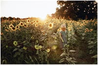 Image 4 of Sunflower Mini Sessions 
