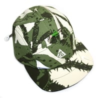 Image 2 of Just did it: Cactus