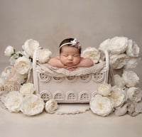 Image 1 of Painted rattan bed 