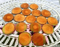 Image 3 of Live Edge Rustic Coasters