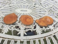 Image 4 of Live Edge Rustic Coasters