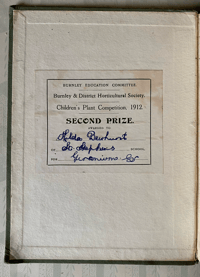 Image 3 of Irises Present Day Gardening