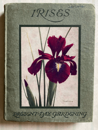 Image 1 of Irises Present Day Gardening