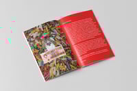 Image 2 of SingKarPor Remixed Zine