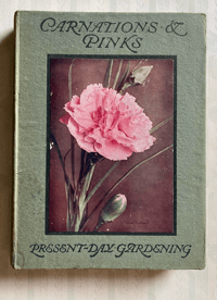 Image 1 of Carnations and Pinks Present Day Gardening