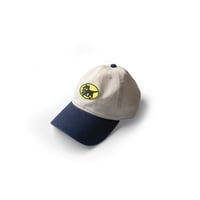 Image 1 of Cat Delivery 6 panel cap